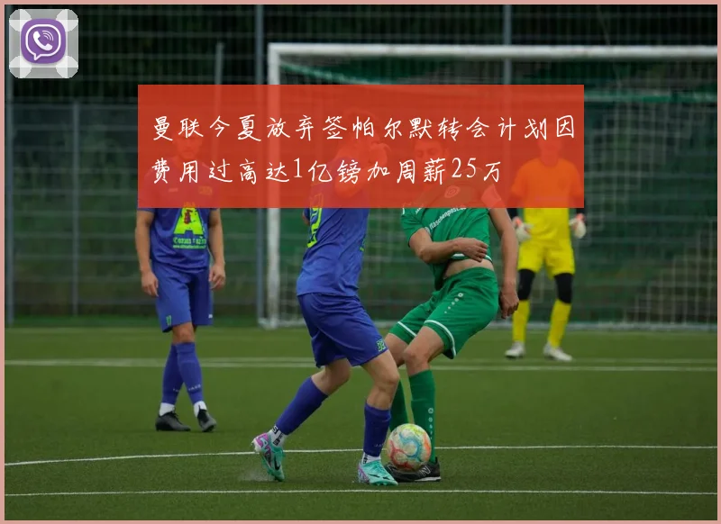 曼联今夏放弃签帕尔默转会计划因费用过高达1亿镑加周薪25万