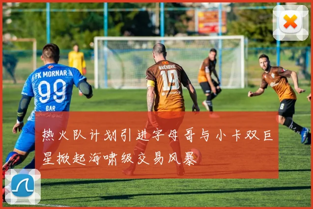 热火队计划引进字母哥与小卡双巨星掀起海啸级交易风暴