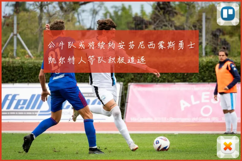 公牛队或将续约安芬尼西蒙斯勇士凯尔特人等队积极追逐